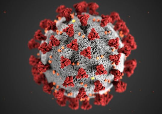 Queensland respiratory infection update – 26 September 2025