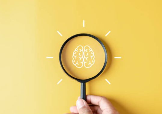 Time to Prioritise Brain Health in Midlife, Experts Say