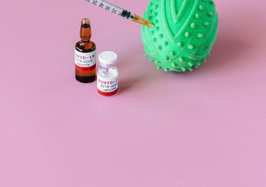 Hypersonic Festival to Offer Onsite Drug Checking as Part of NSW Trial