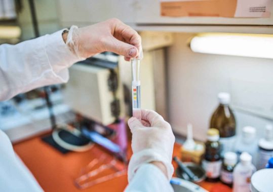 HTID festival to offer onsite drug checking as part of NSW trial