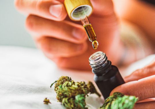 Big Study Finds Medicinal Cannabis Doesn’t Help Most Mental Health Issues