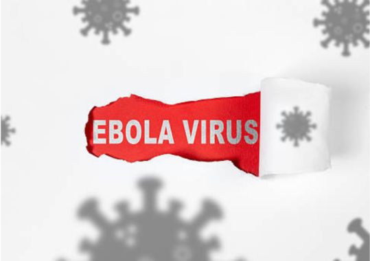 Doctors Urged to Watch for Ebola Symptoms After Global Health Alert