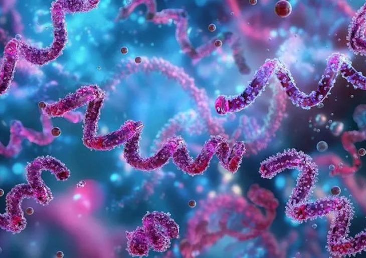 Syphilis declared a Communicable Disease Incident of National Significance