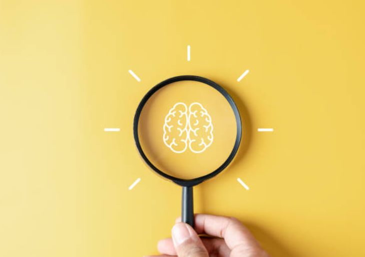 Time to Prioritise Brain Health in Midlife, Experts Say