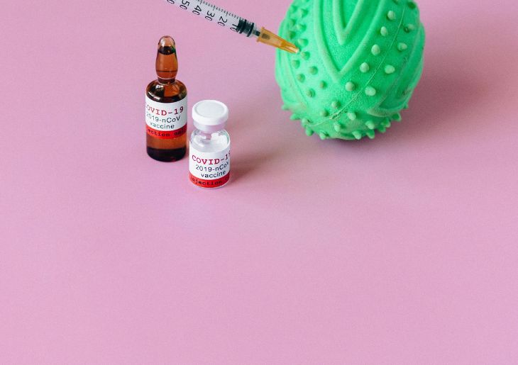 Hypersonic Festival to Offer Onsite Drug Checking as Part of NSW Trial