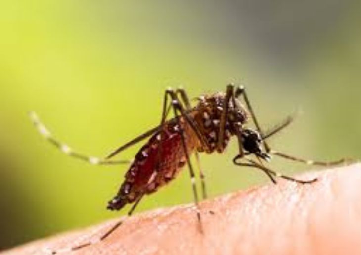 Health warning issued after measles case visits Western Sydney