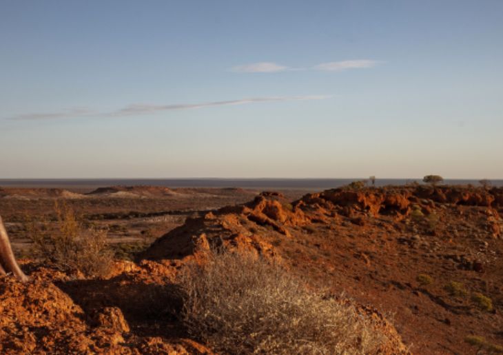 Closing the Gap Built Into Australia’s Health System