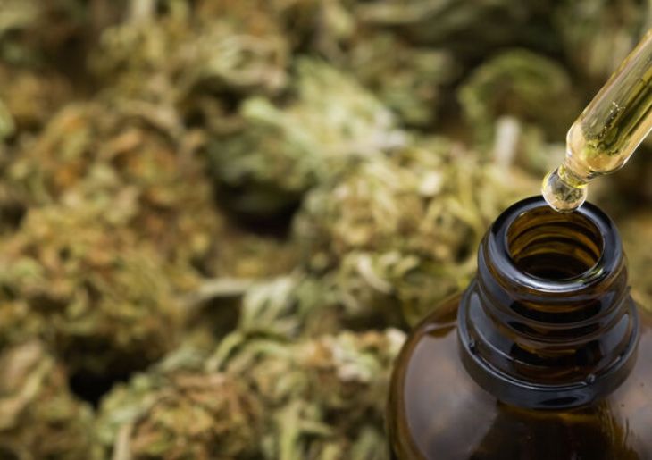 Medicinal Cannabis Prescriptions Drop After Years of Growth