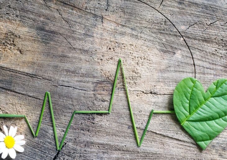 Doctors Lead Climate Action Milestone