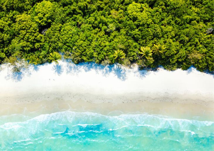 RACGP Urges Action on Climate and Health for World Environment Day